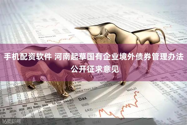 手机配资软件 河南起草国有企业境外债券管理办法 公开征求意见