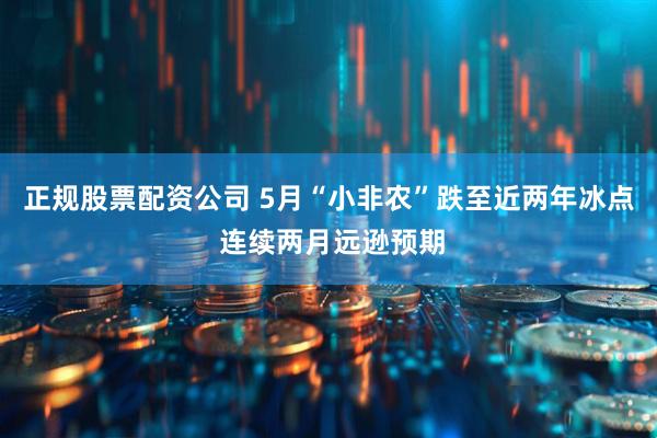 正规股票配资公司 5月“小非农”跌至近两年冰点 连续两月远逊预期