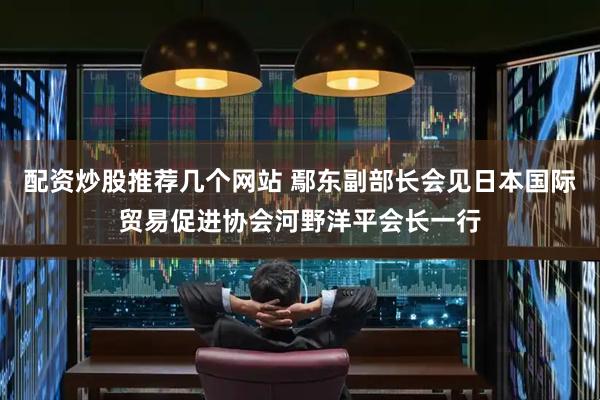 配资炒股推荐几个网站 鄢东副部长会见日本国际贸易促进协会河野洋平会长一行
