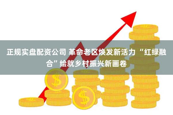 正规实盘配资公司 革命老区焕发新活力 “红绿融合”绘就乡村振兴新画卷