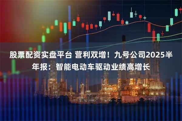 股票配资实盘平台 营利双增！九号公司2025半年报：智能电动车驱动业绩高增长
