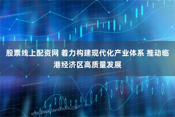 股票线上配资网 着力构建现代化产业体系 推动临港经济区高质量发展